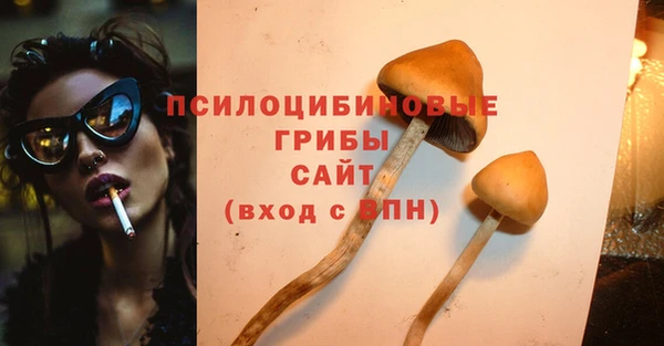 ECSTASY Армянск
