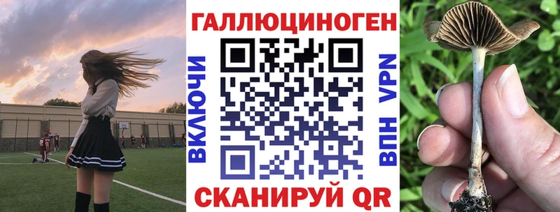 Псилоцибиновые грибы Cubensis  Протвино 